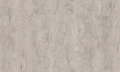 181621 Anise